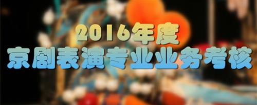 日逼逼嫩逼国家京剧院2016年度京剧表演专业业务考...